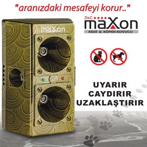 Genel